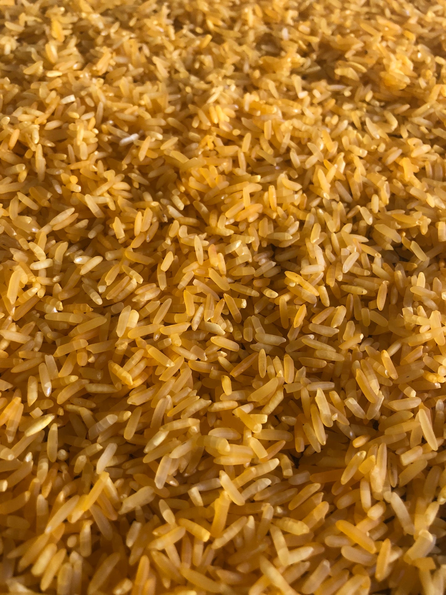 Golden Yellow Sensory Rice